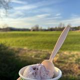 Sanctuary Dairy Farm Ice Cream
