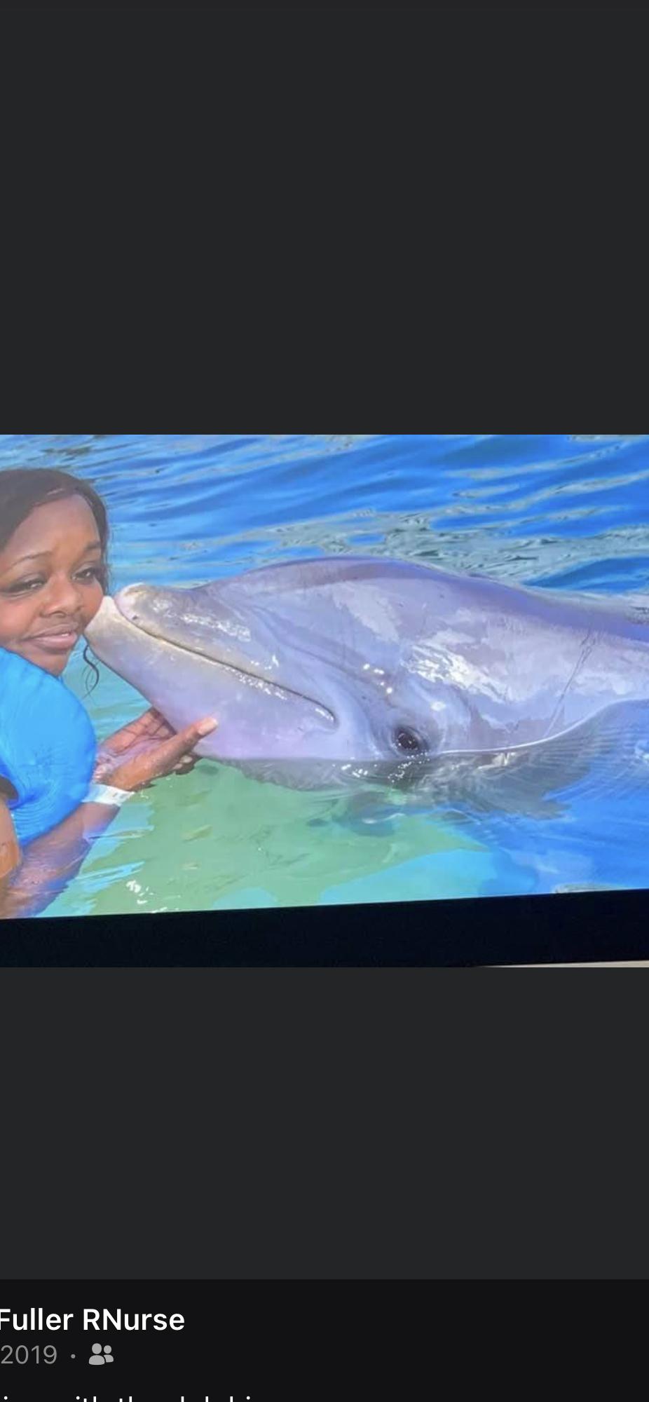 Swimming with the dolphins in Mexico!