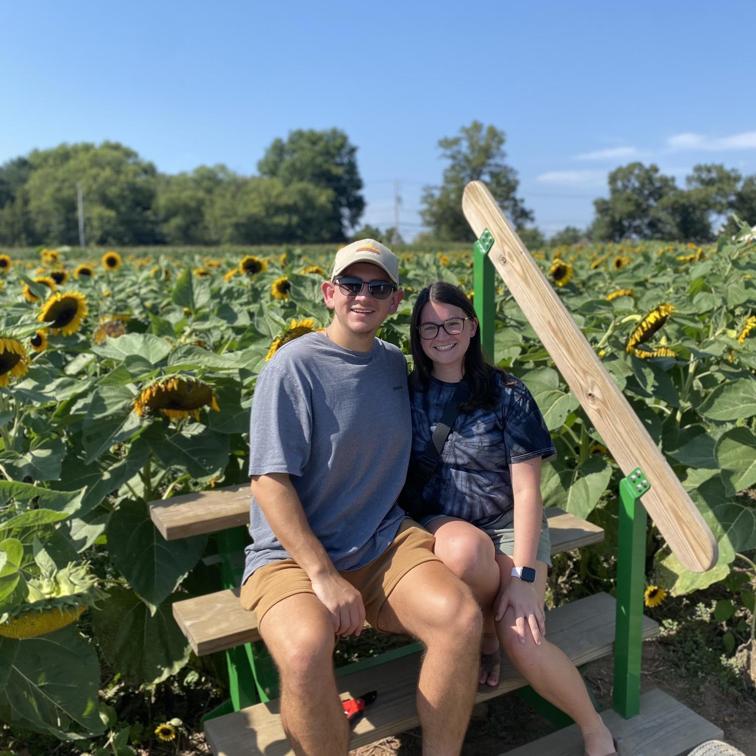 Merrymead sunflower festival 2023