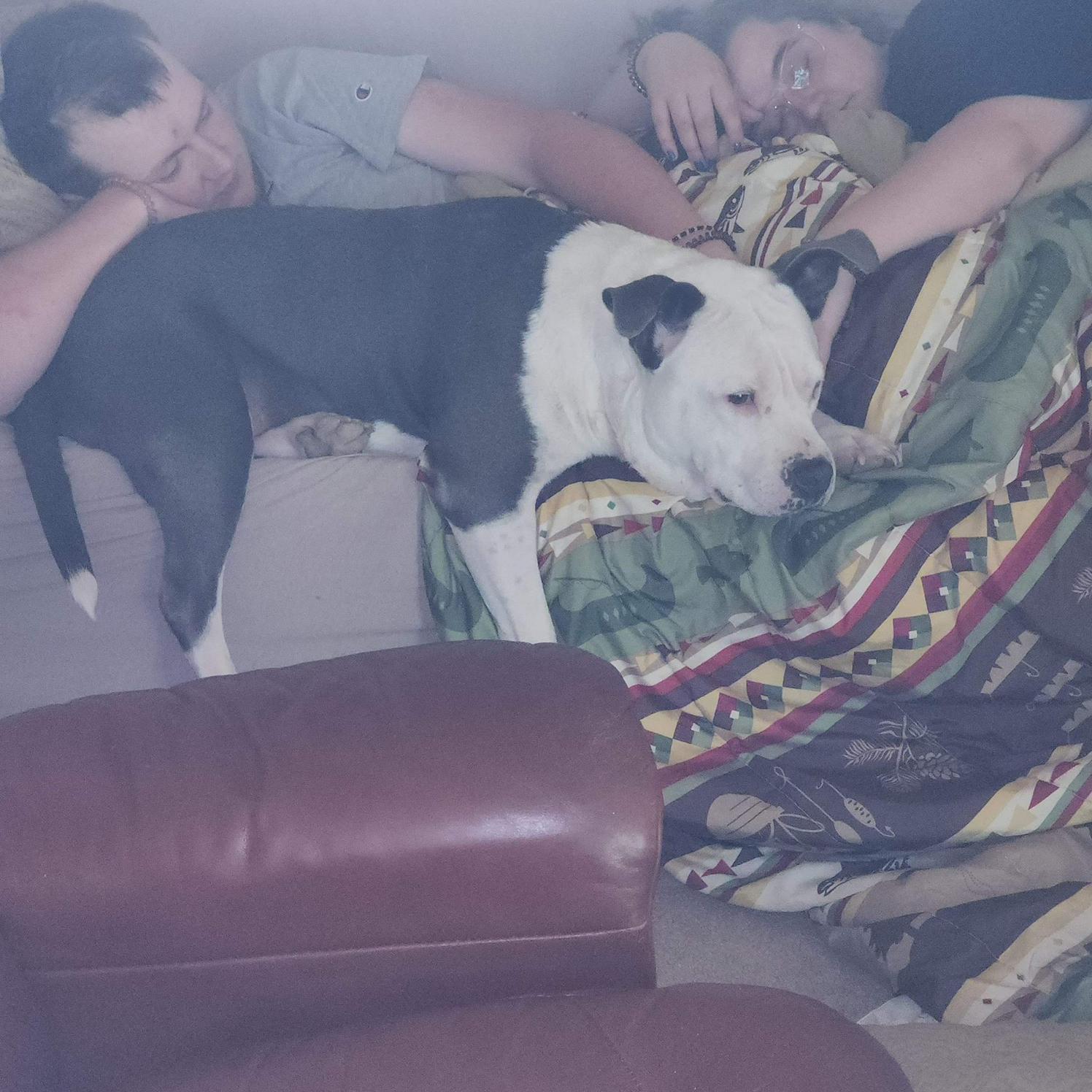 We miss you Zoey!