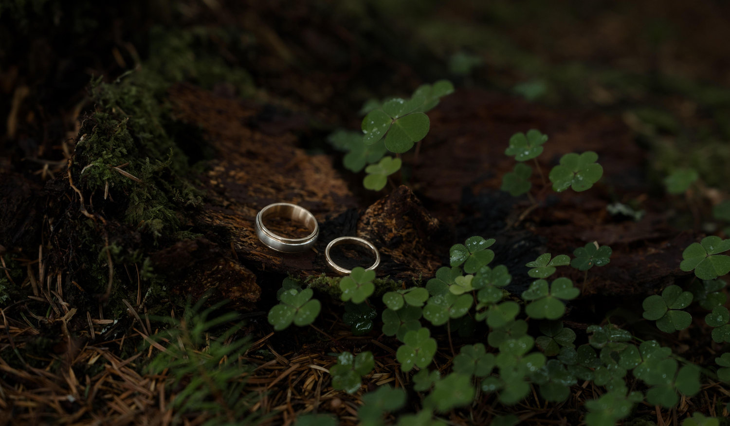 Footer image