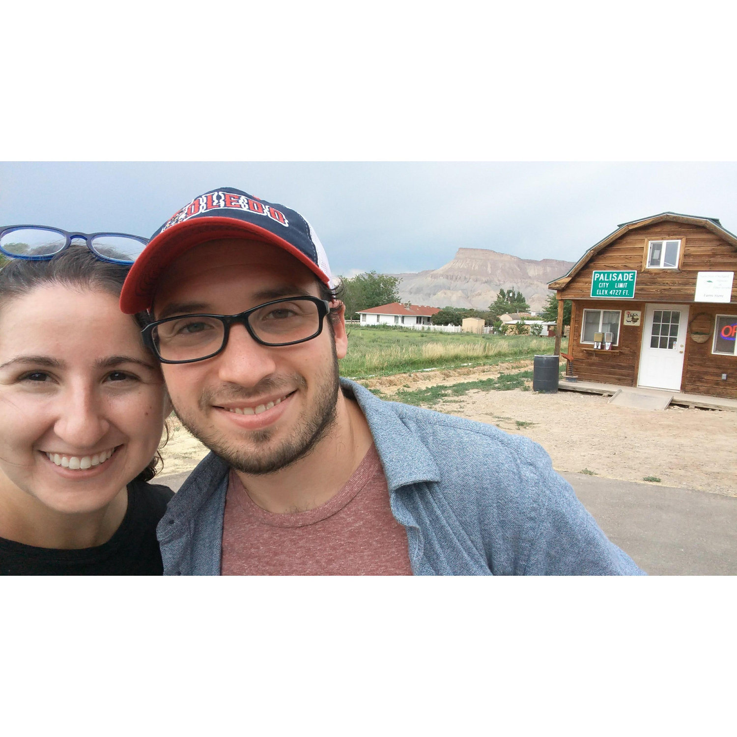 Peach picking and alpacas in Grand Junction, 2018