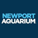 Newport Aquarium