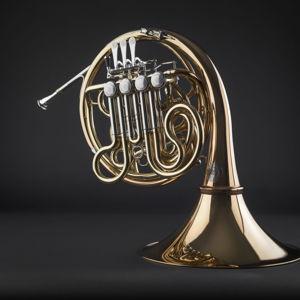 A new French Horn for her