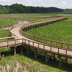 Neabsco Boardwalk