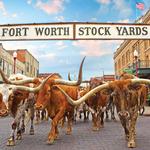 Fort Worth Stockyards