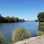 Louis Park