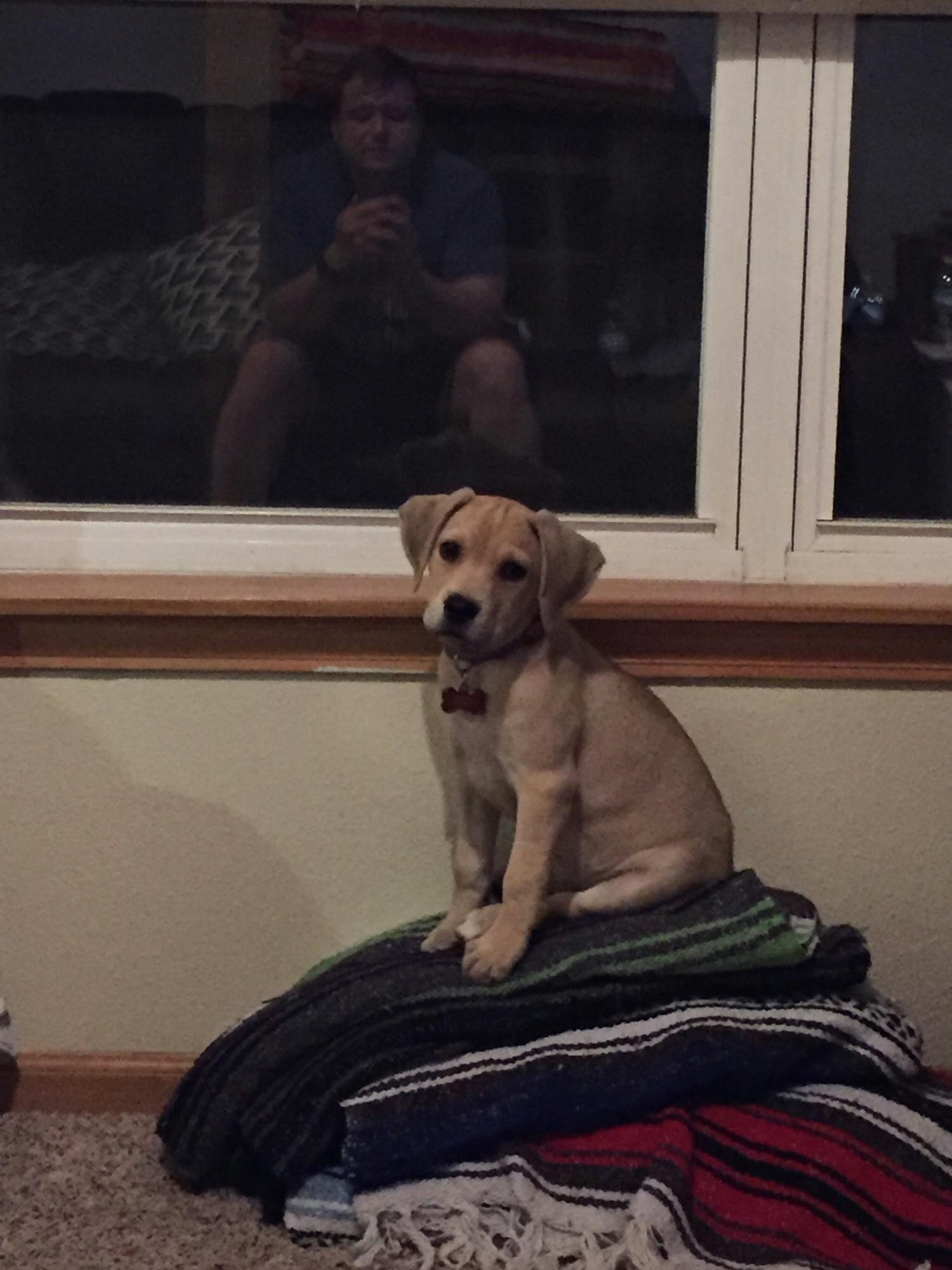 Baby Phoebe