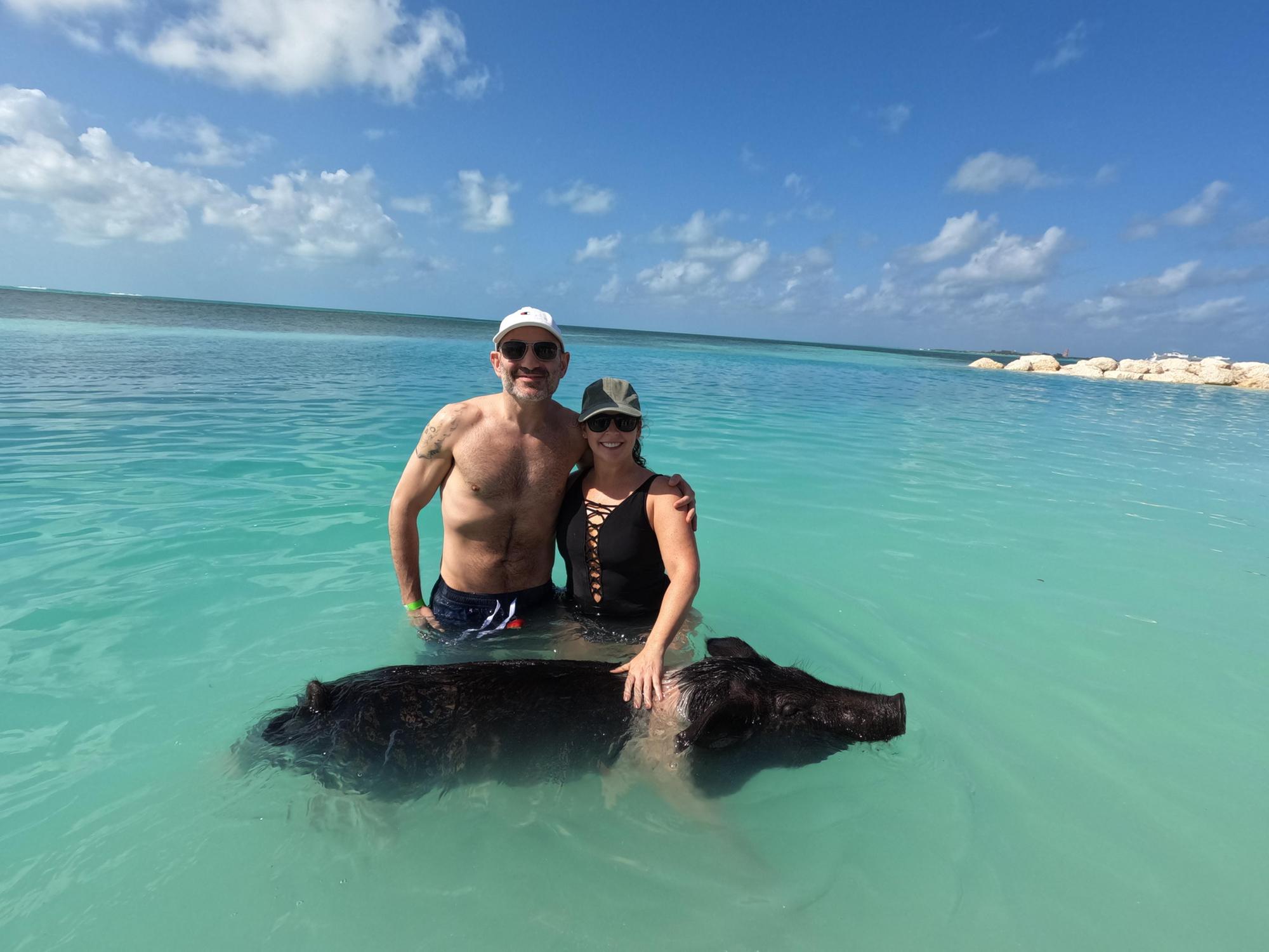 Our amazing cruise. Swimming with pigs!