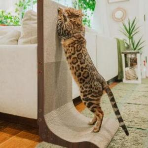 Necoichi Premium Comfort Cat Scratcher Wall