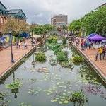 Downtown Frederick