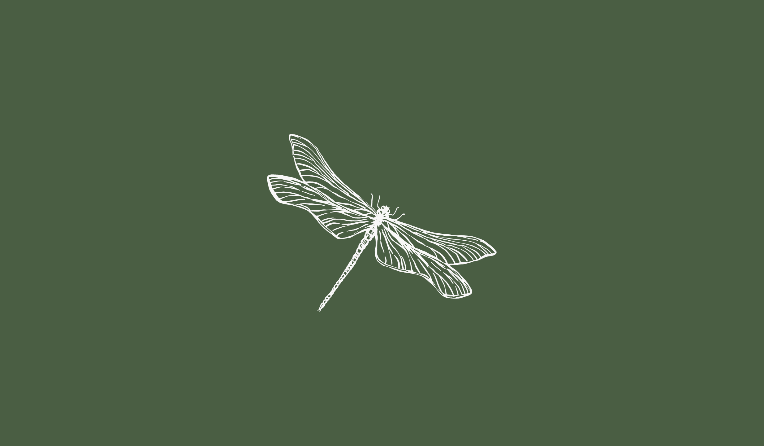 Footer image