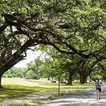 Audubon Park