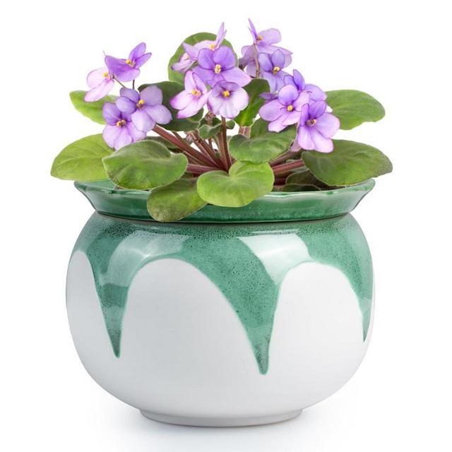 BUYMAX African Violet Pots, 6 inch Ceramic Easy Self Watering Plant Pot for Busy Plant Lovers, Automatically Absorb Appropriate Amount of Water, Flower Pot Indoor-Plants Not Included(Green)