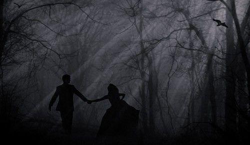 The Wedding Website of to haunt.. and To have