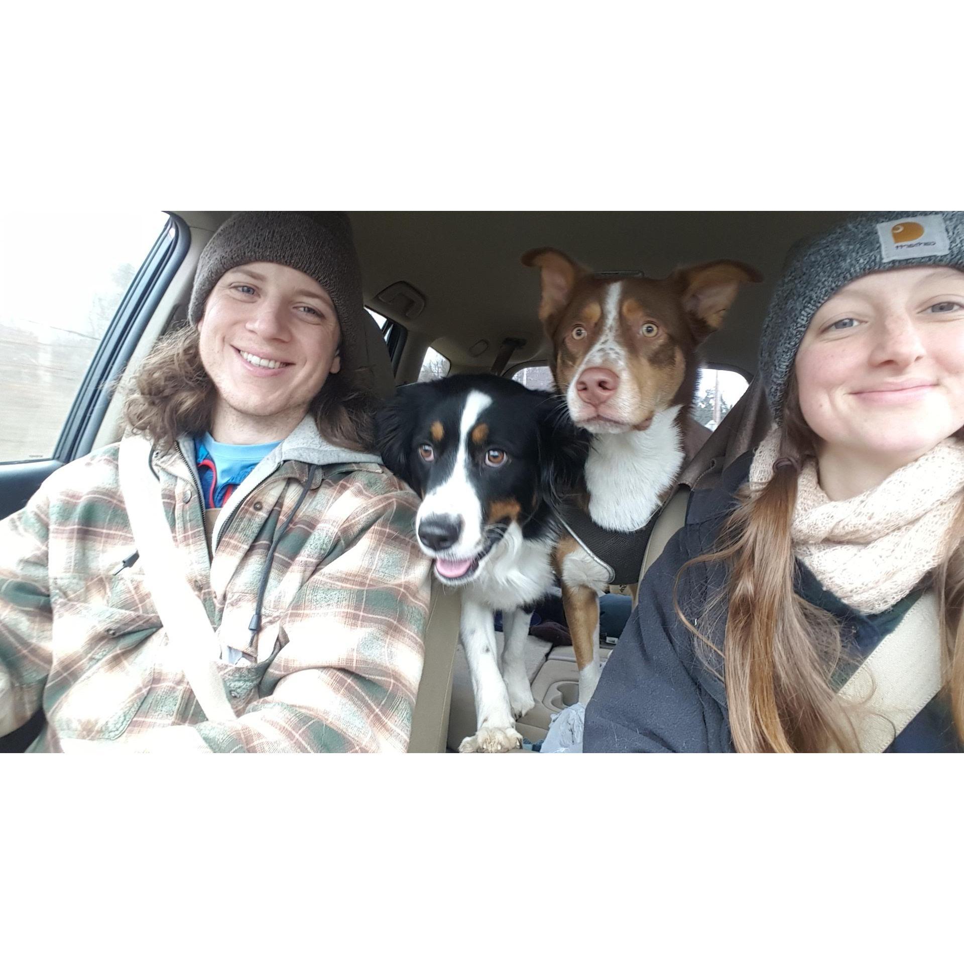 Copilots