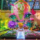 Bellagio Conservatory & Botanical Gardens