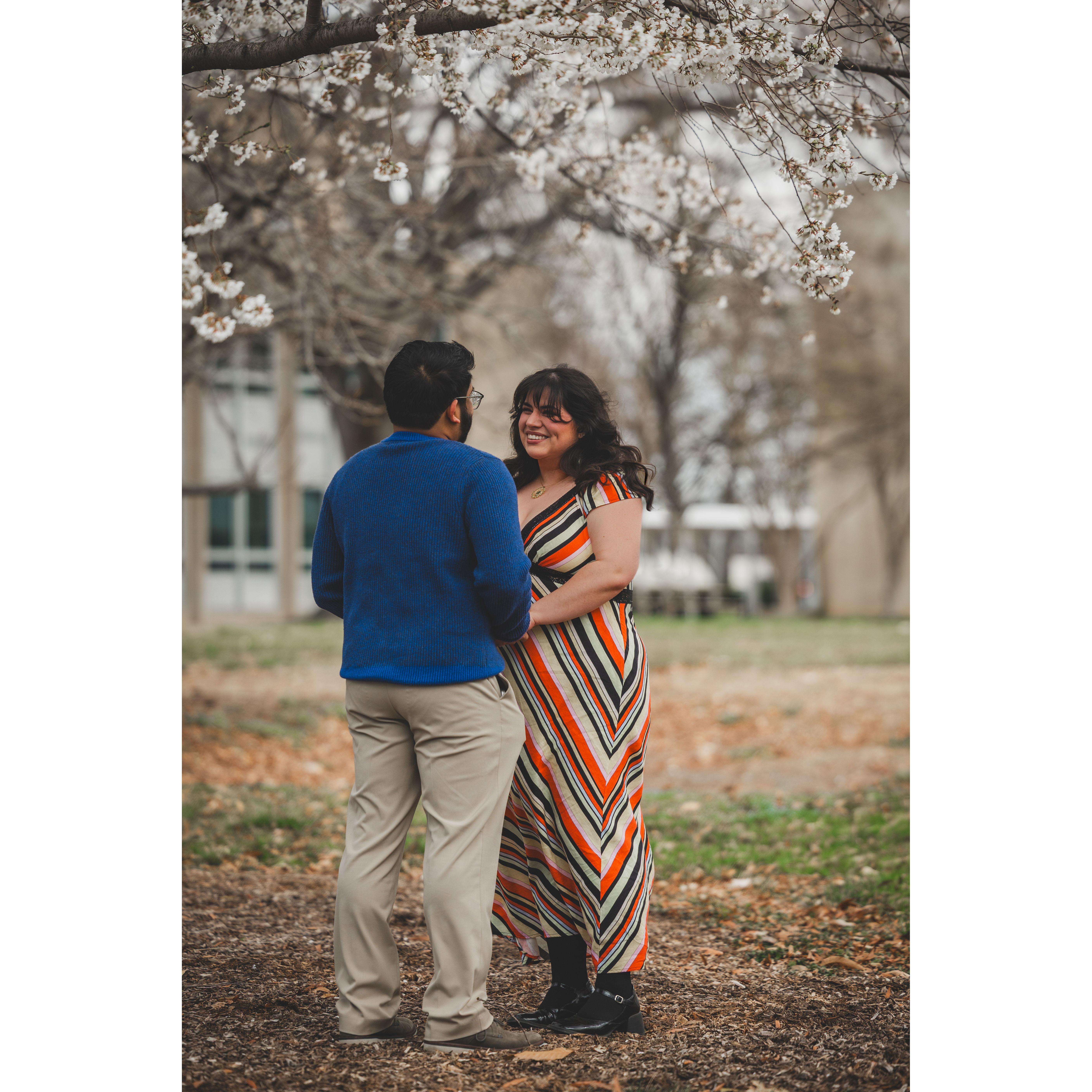 Kushal and Alexis visited DC during cherry blossom season every year they lived in Virginia.