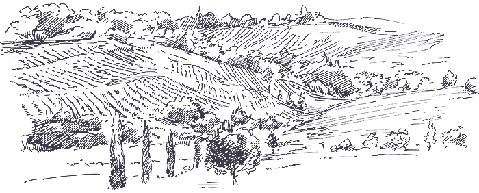 The Wedding Website of Robert Yiannakou and Claudia Madrigal Martinez