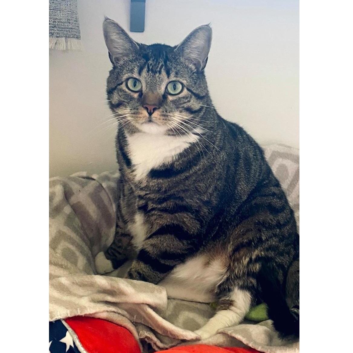 Max