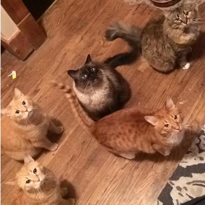 family photo
