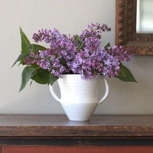 Frances Palmer Shane Vase