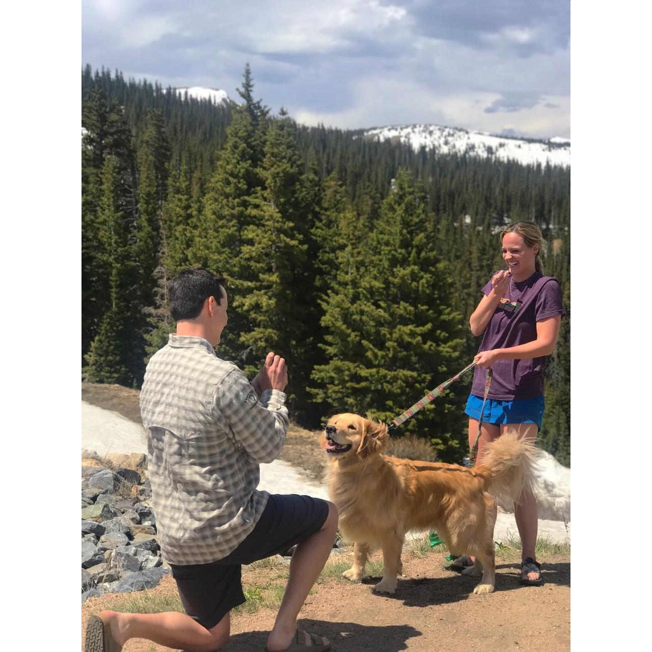Liz said yes!  On the top of Berthud pass on the way to Steamboat Springs.  This is her favorite view in the Rocky Mountains :)