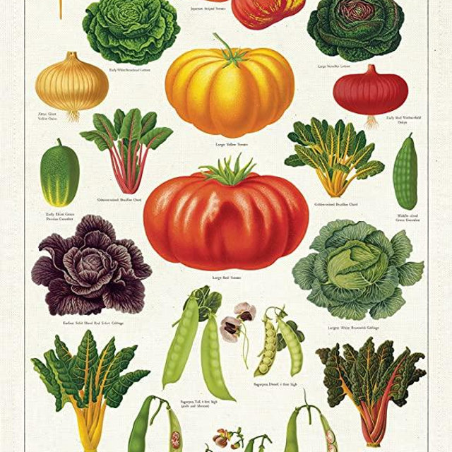 Cavallini & Co. Vegetable Garden Tea Towel