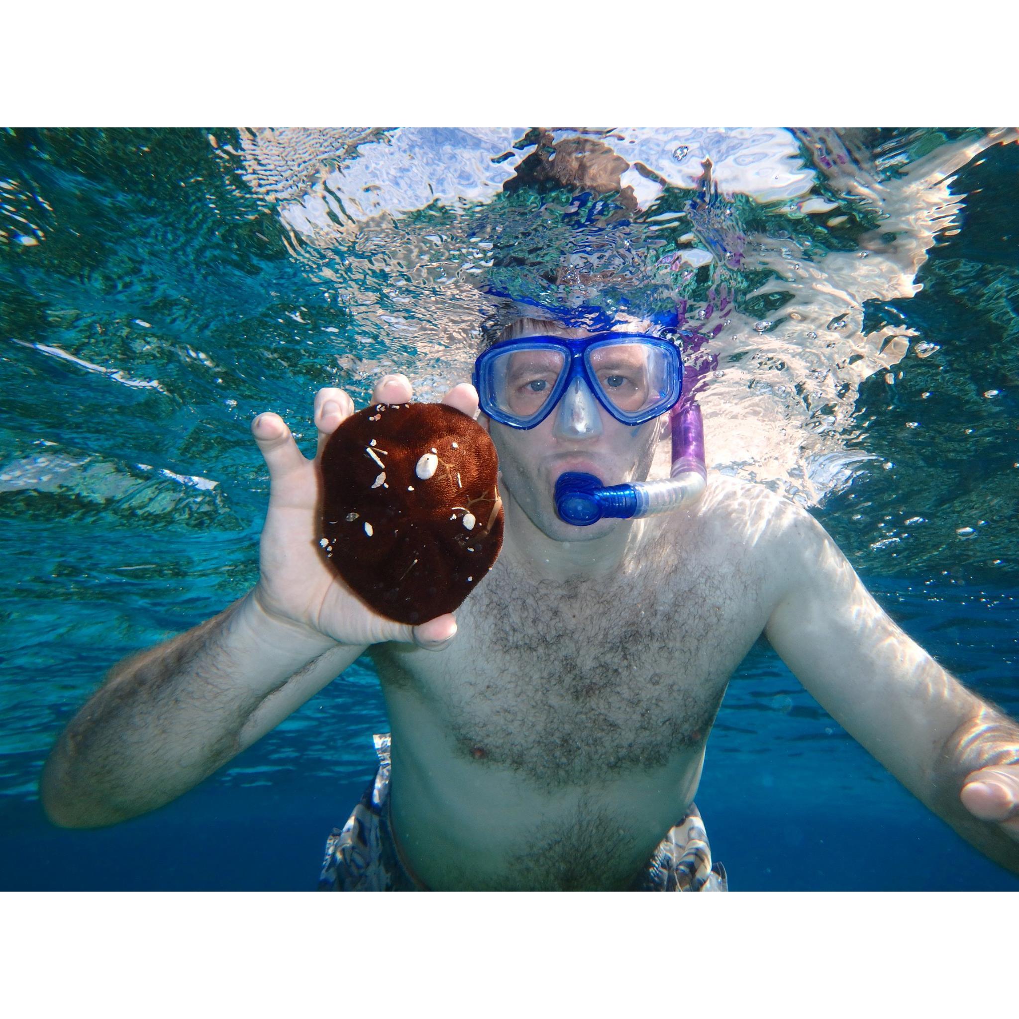 The best snorkeling adventure on our first trip together