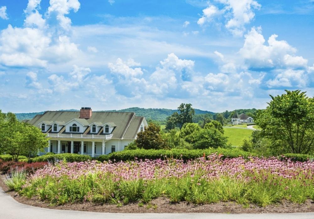 The Wedding Website of Emily Jarrett and David Vanwinkle