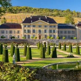 Wine tasting in Lyon