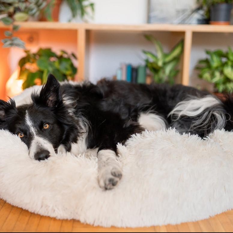 Large Donut dog bed - Calming dog bed - Dog sofa - Pet bed, Large & XLarge dogs - Orthopedic dog bed, Comfortable dog bed - Washable dog bed