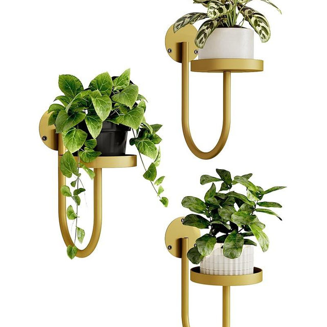 Bamworld Wall Plant Holder Wall Planters for Indoor Plants Plant Hanger Indoor Window Plant Shelves Hanging Plant Holder Window Plant Hanger Plant Decor Golden 3pcs