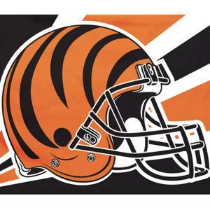 Bengals Flag