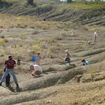 Mineral Wells Fossil Park