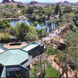 Phoenix Zoo