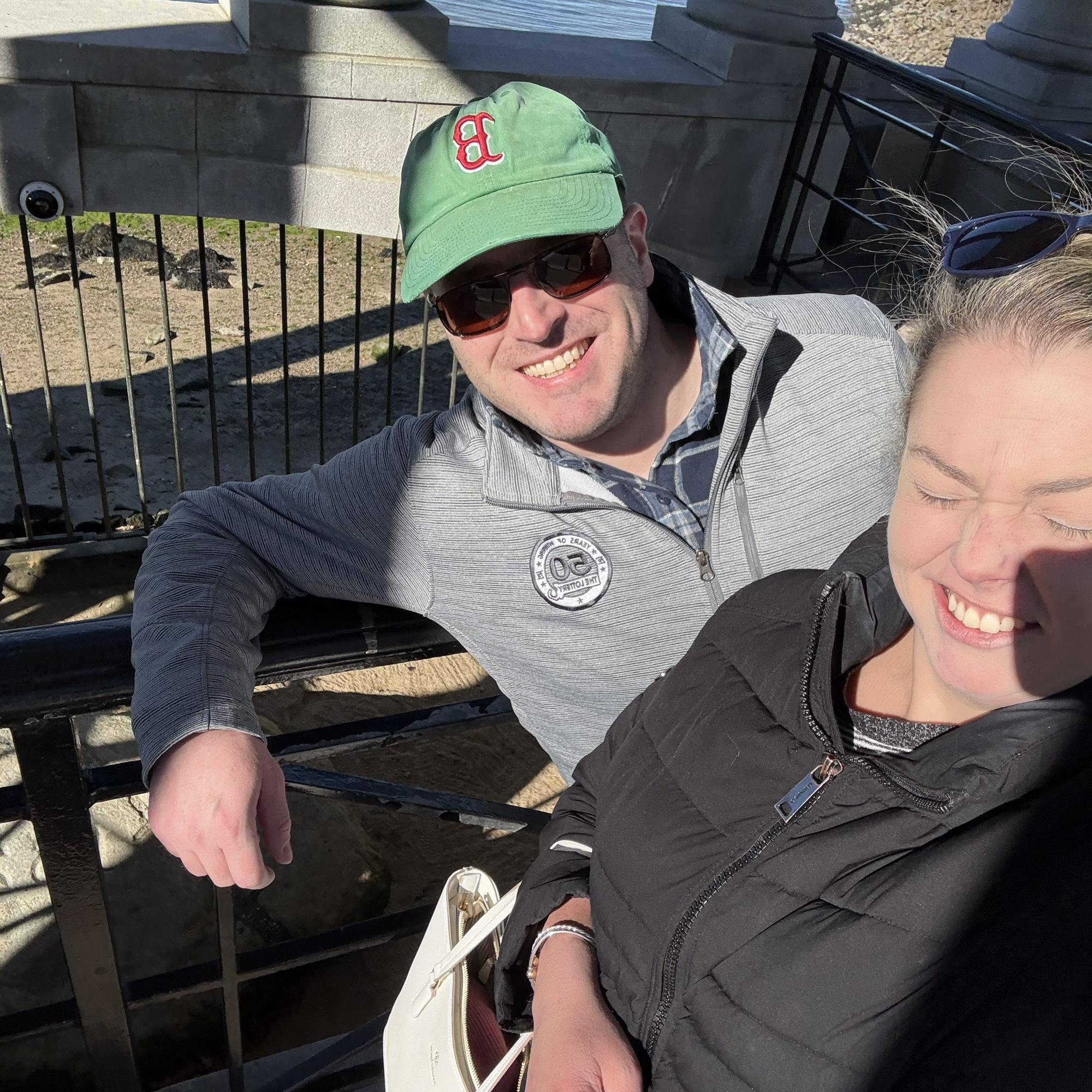 Plymouth Rock and solar glare!