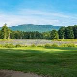 The Shattuck Golf Club