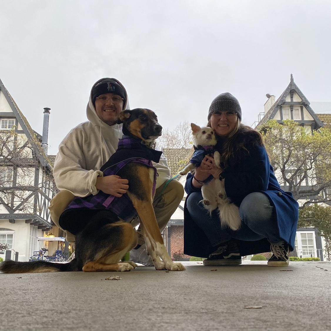 Our 5th year anniversary in Solvang with our pups, Anabelle and Tesla. March 2023.