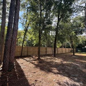 Our Home (and Dog) Fund