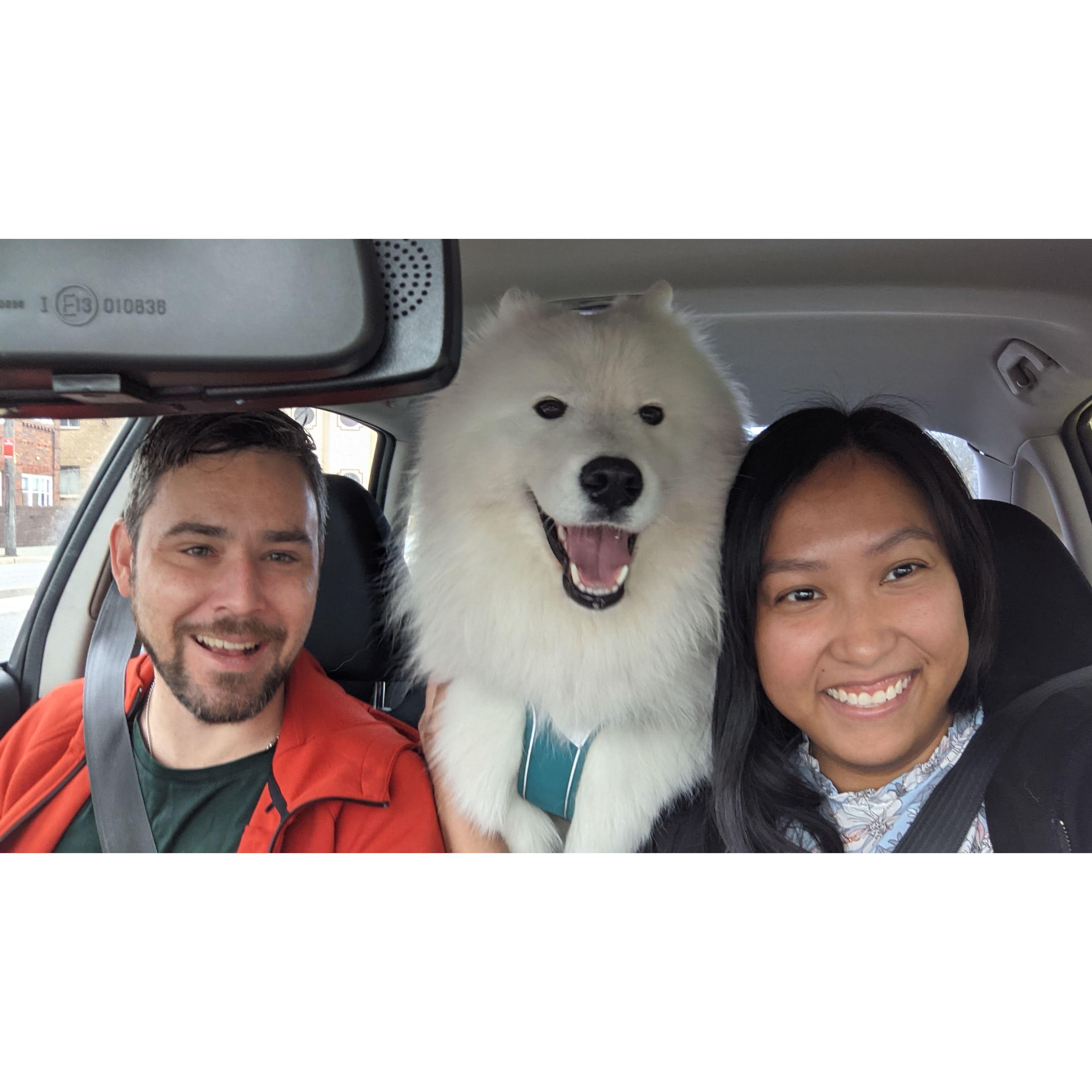 We met Bobo and Debbie during Covid! Our best excuse to get us out of the house and exercising the daily afternoon bubble teas. 🐕🧋