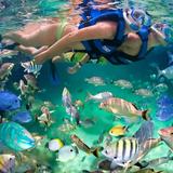Xel-Ha
