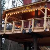 Treehouse Vineyards