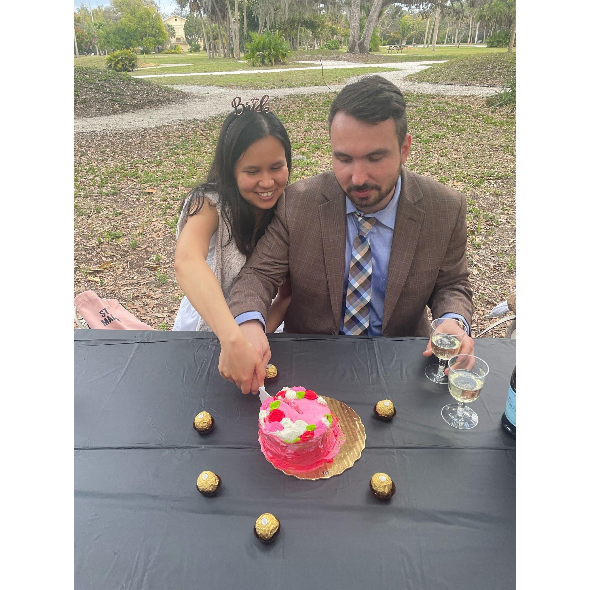 Slicing into the cake at our engagment celebration.