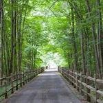 Hudson Valley Rail Trail