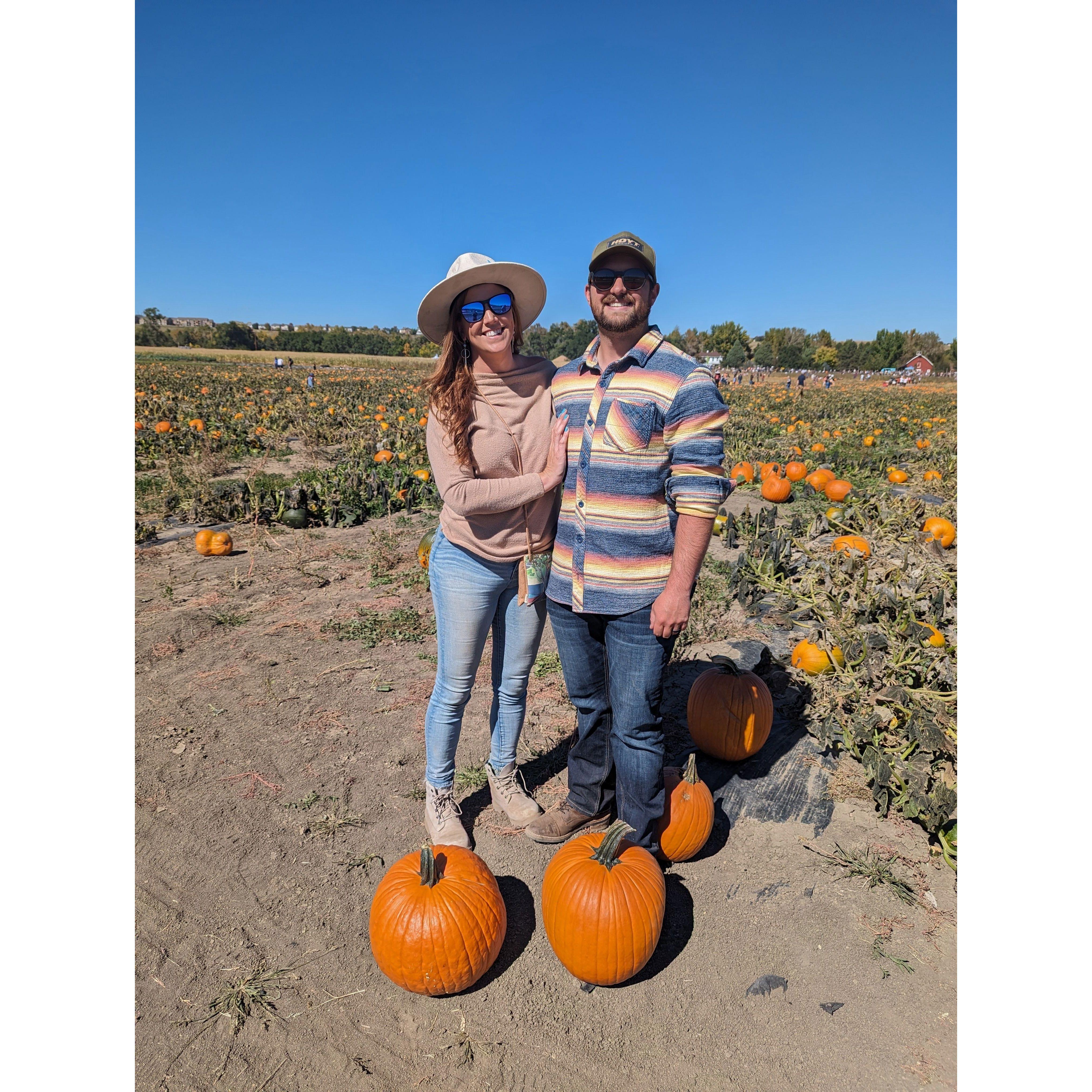 Pumpkin Pickin'