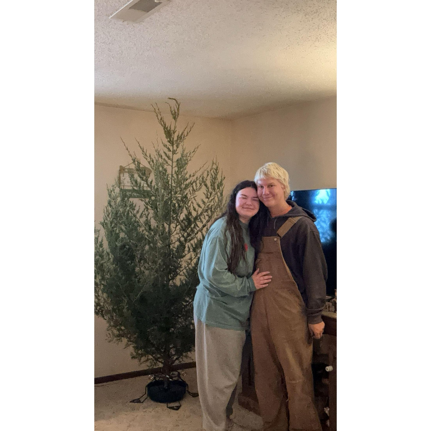 Our first Christmas tree in our new home together! - 2024