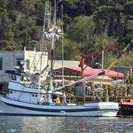 Noyo Harbor District