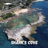 Sharks Cove