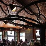 The Treehouse